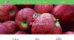 Desktop Screenshot of cervi.com.ar